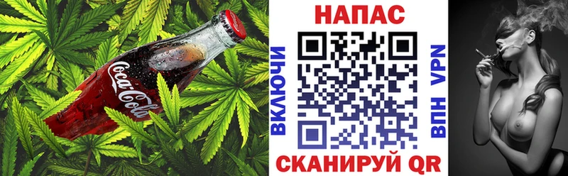 Canna-Cookies марихуана Александровское