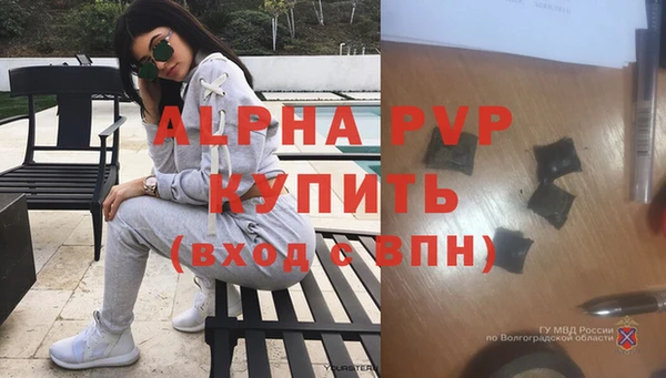 стаф Алагир