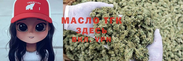 молекула духа Алапаевск